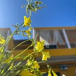 דירה The Bee's House 2 Tirós