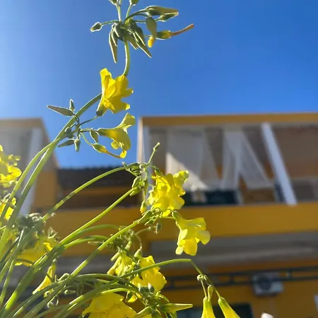 Appartement The Bee's House 2 Tirós